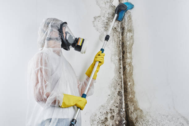 Carpet water damage restoration in Pocatello, ID